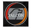 Falcon Safety Logo