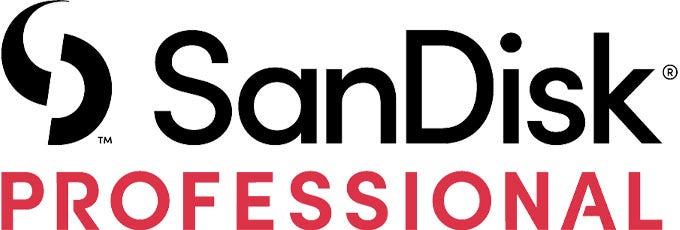 More From SanDisk Professional Logo