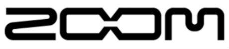 More From Zoom Logo