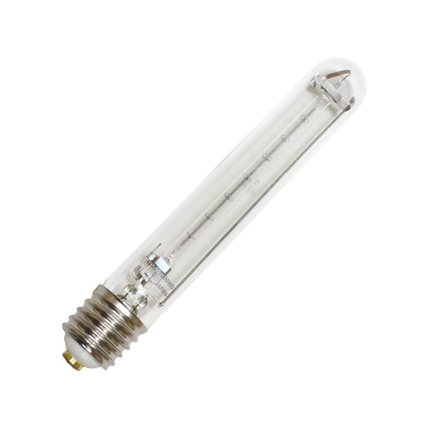 Mogul Base Bulbs & Globes Mogul Base Bulbs & Globes